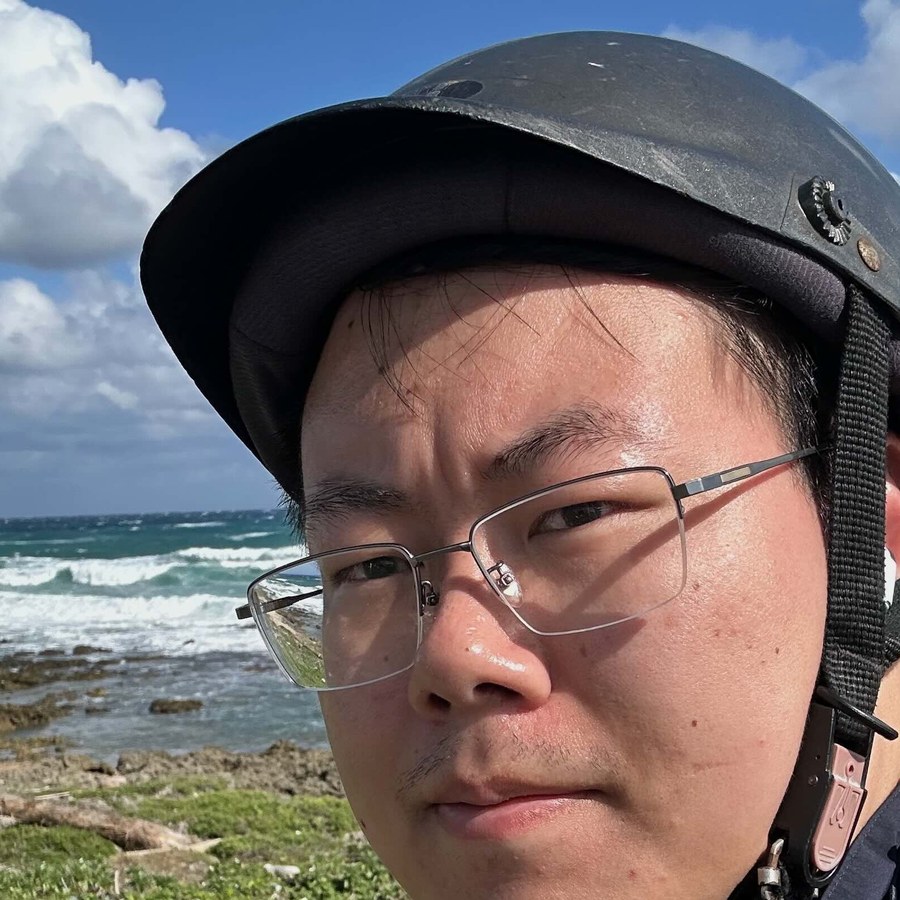 Portrait of Ding Zhang